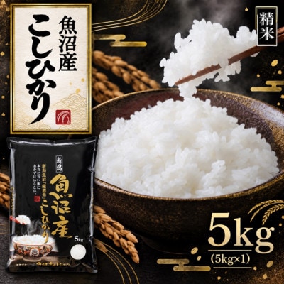 【新米　令和8年産】【食味鑑定士厳選】　新潟県魚沼市産こしひかり　5kg