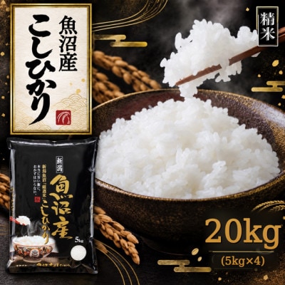 【新米　令和8年産】【食味鑑定士厳選】　新潟県魚沼市産こしひかり　20kg(5kg×4)