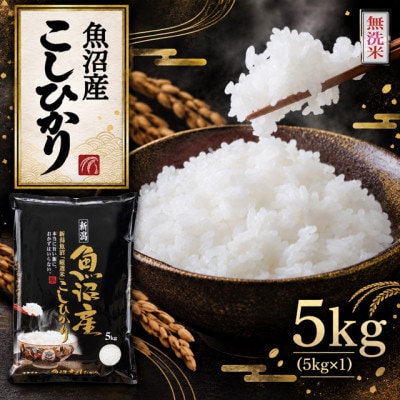 《無洗米》【新米　令和8年産】【食味鑑定士厳選】　新潟県魚沼市産こしひかり　5kg(5kg×1)