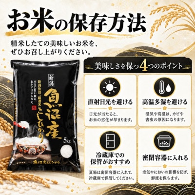 《無洗米》【新米　令和8年産】【食味鑑定士厳選】　新潟県魚沼市産こしひかり　5kg(5kg×1)