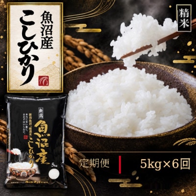 【毎月定期便】【食味鑑定士厳選】　新潟県魚沼市産こしひかり　5kg(5kg×1)全6回