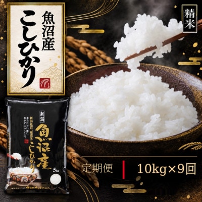 【毎月定期便】【食味鑑定士厳選】　新潟県魚沼市産こしひかり　10kg(5kg×2)全9回