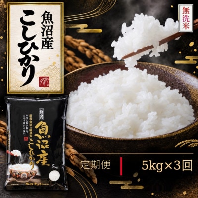 【毎月定期便】《無洗米》【食味鑑定士厳選】　新潟県魚沼市産こしひかり　5kg(5kg×1)全3回