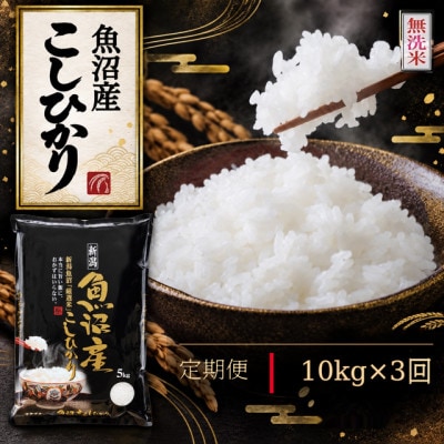 【毎月定期便】《無洗米》【食味鑑定士厳選】　新潟県魚沼市産こしひかり　10kg(5kg×2)全3回