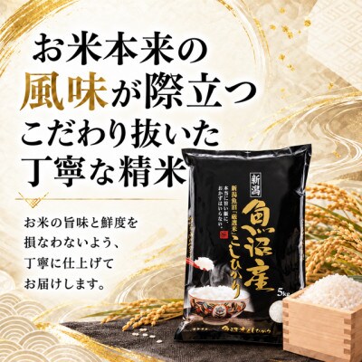 【毎月定期便】【食味鑑定士厳選】　新潟県魚沼市産こしひかり　20kg(5kg×4)全6回
