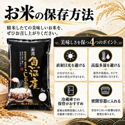 【毎月定期便】《無洗米》【食味鑑定士厳選】　新潟県魚沼市産こしひかり　20kg(5kg×4)全3回