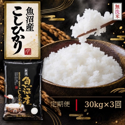 【毎月定期便】《無洗米》【食味鑑定士厳選】　新潟県魚沼市産こしひかり　30kg(5kg×6)全3回