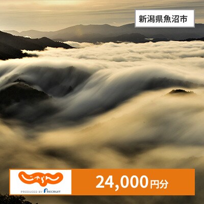【じゃらんふるさと納税クーポン】 新潟県魚沼市でつかえる24,000円 クーポン