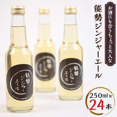 お酒にも合うちょっと大人な「能勢ジンジャーエール」250ml×24本