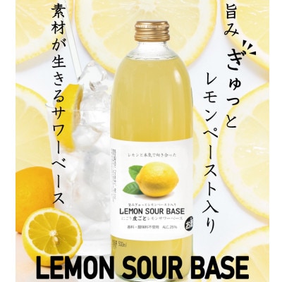 にごり皮ごとレモンサワーベース ～あなただけのオリジナルサワーを～ 500ml×12本