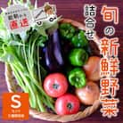 『大阪能勢産』　農家直送!べじたぶるぱーくの旬の新鮮野菜詰合せ　Sセット(5種類)　