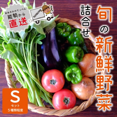 『大阪能勢産』　農家直送!べじたぶるぱーくの旬の新鮮野菜詰合せ　Sセット(5種類)　
