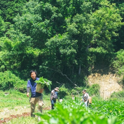 『大阪能勢産』　農家直送!べじたぶるぱーくの旬の新鮮野菜詰合せ　Sセット(5種類)　