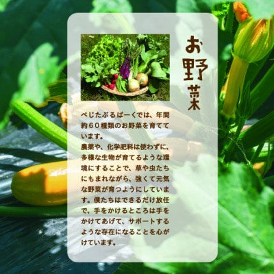 『大阪能勢産』　農家直送!べじたぶるぱーくの旬の新鮮野菜詰合せ　Sセット(5種類)　