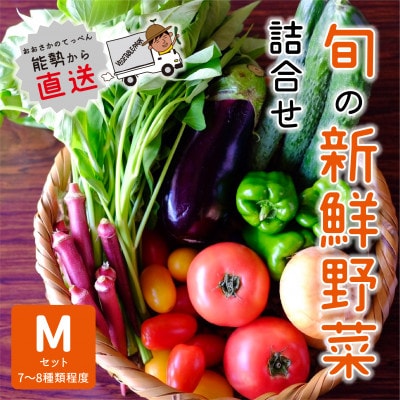 『大阪能勢産』　農家直送!べじたぶるぱーくの旬の新鮮野菜詰合せ　Mセット(7～8種類)　