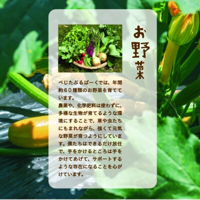 『大阪能勢産』　農家直送!べじたぶるぱーくの旬の新鮮野菜詰合せ　Mセット(7～8種類)　