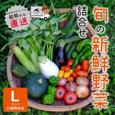 『大阪能勢産』　農家直送!べじたぶるぱーくの旬の新鮮野菜詰合せ　Lセット(10種類)　