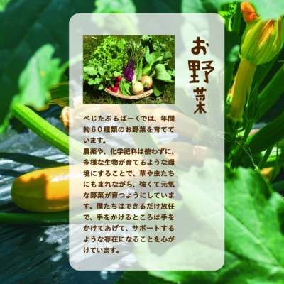 【発送月固定定期便】大阪能勢産　べじたぶるぱーくの新鮮野菜詰合せMセット(7～8種類)　下旬全12回