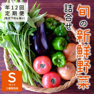 【発送月固定定期便】『大阪能勢産』べじたぶるぱーくの新鮮野菜詰合せ　Sセット(5種類)　下旬全12回