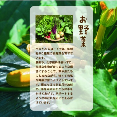 【発送月固定定期便】『大阪能勢産』べじたぶるぱーくの新鮮野菜詰合せLセット(10種類)　奇数月全6回