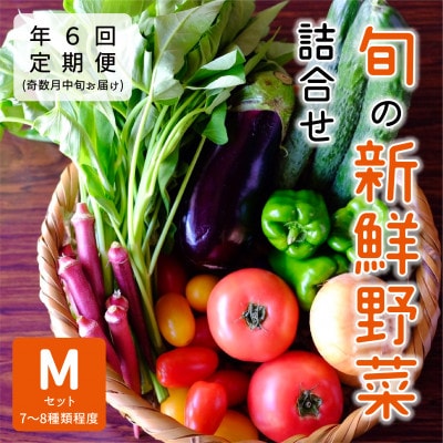 【発送月固定定期便】『大阪能勢産』べじたぶるぱーくの新鮮野菜詰合せMセット(7～8種類)奇数月全6回