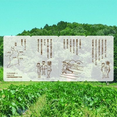 【発送月固定定期便】『大阪能勢産』べじたぶるぱーくの新鮮野菜詰合せ　Mセット7～8種類　偶数月全6回