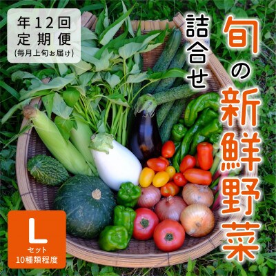 【発送月固定定期便】『大阪能勢産』べじたぶるぱーくの新鮮野菜詰合せLセット(10種類)　上旬全12回