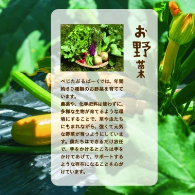 【発送月固定定期便】『大阪能勢産』べじたぶるぱーくの新鮮野菜詰合せMセット(7～8種類)上旬全12回