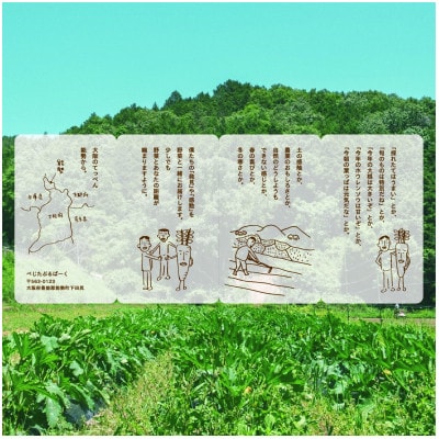 【発送月固定定期便】『大阪能勢産』べじたぶるぱーくの新鮮野菜詰合せ　Sセット(5種類)　奇数月全6回