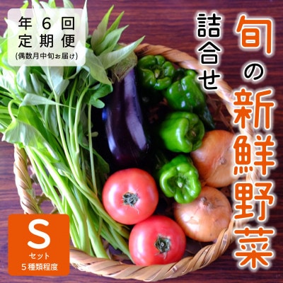 【発送月固定定期便】『大阪能勢産』べじたぶるぱーくの新鮮野菜詰合せ　Sセット(5種類)　偶数月全6回