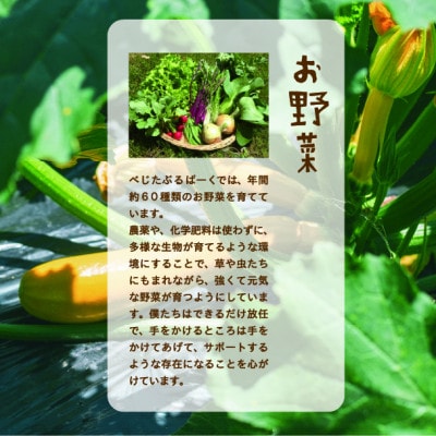 【発送月固定定期便】『大阪能勢産』べじたぶるぱーくの新鮮野菜詰合せ　Sセット(5種類)　偶数月全6回