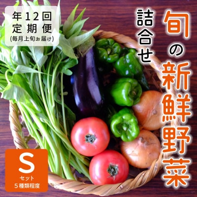 【発送月固定定期便】『大阪能勢産』べじたぶるぱーくの新鮮野菜詰合せ　Sセット(5種類)上旬全12回