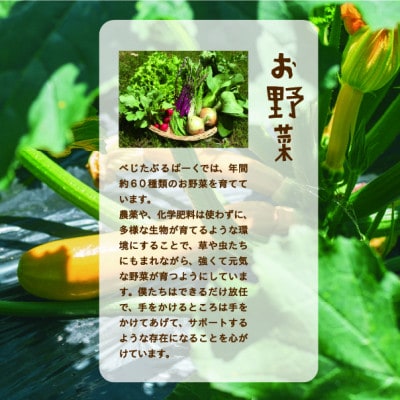 【発送月固定定期便】『大阪能勢産』べじたぶるぱーくの新鮮野菜詰合せ　Sセット(5種類)上旬全12回