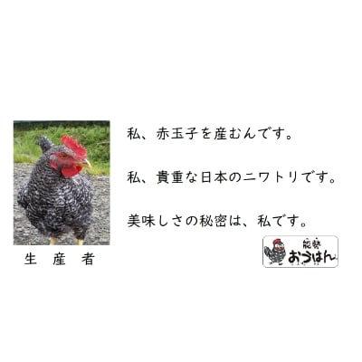 卵がけごはんにおすすめ!健康第一で育てられた希少なブランド鶏の地玉子50個