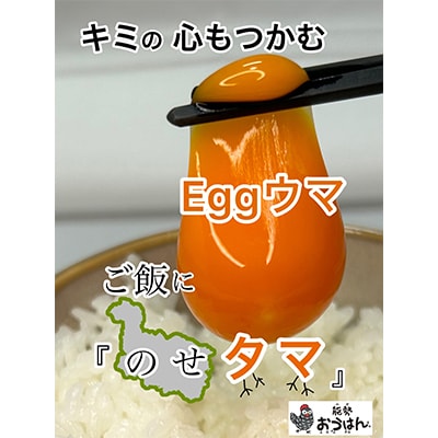「さぁ!ご飯にのせ玉子」モノクロ鶏の極上個性たまご30個