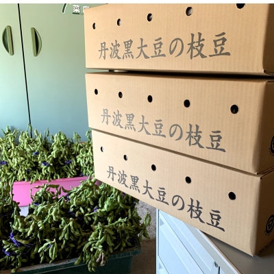 期間限定! 新鮮な枝付き丹波黒枝豆3kg