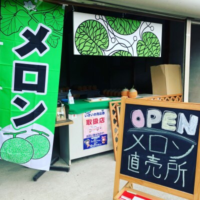 令和6年8月上旬発送予定!大阪府能勢町産　赤肉メロン『マリアージュ』1玉×メロンピクルス2本セット　