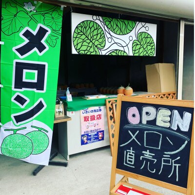 令和6年8月中旬以降発送予定!　大阪府能勢町産　青肉メロン1玉×メロンピクルス2本セット　