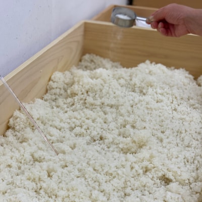 【期間限定　栗の甘こうじ入り】万能調味料　大阪能勢のいろいろ糀(こうじ)とお味噌のセット