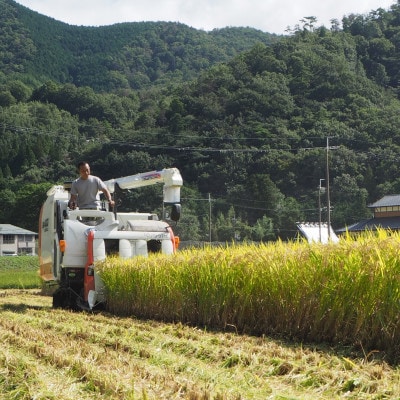 [令和7年度産]高齢者の田んぼを受け継ぐ若手後継者「塚原さんのキヌヒカリ」精米5kg