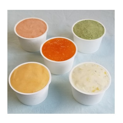 農家ジェラート 里山の季節の恵みを味わう　　手作りジェラート10個