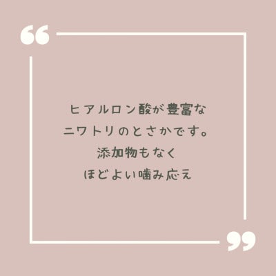 【完全無添加・国産・犬のおやつ】デンタルケアとしても安心なカミカミを楽しめる「とさか大袋」200g