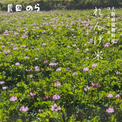 令和7年産コシヒカリ「レンゲ米」玄米10kg(栽培期間中農薬・化学肥料不使用)
