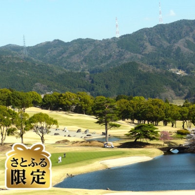 【さとふる限定】プレーチケット