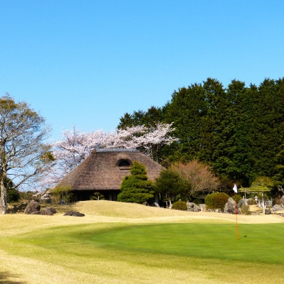 【さとふる限定】プレーチケット
