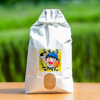 【栽培期間中農薬・化学肥料不使用】能勢町産 ブランド米「うちの子てっぺん」　玄米　5kg