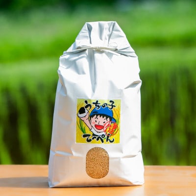 【栽培期間中農薬・化学肥料不使用】能勢町産 ブランド米「うちの子てっぺん」　白米　4.5kg