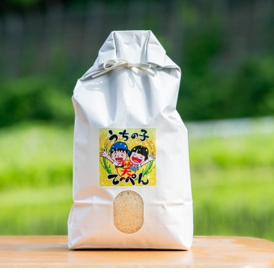 【栽培期間中農薬・化学肥料不使用】能勢町産 ブランド米「うちの子てっぺん」　白米　9kg