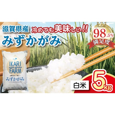 【令和7年産】冷めても美味しいあっさりとした味わい「みずかがみ」白米5kg