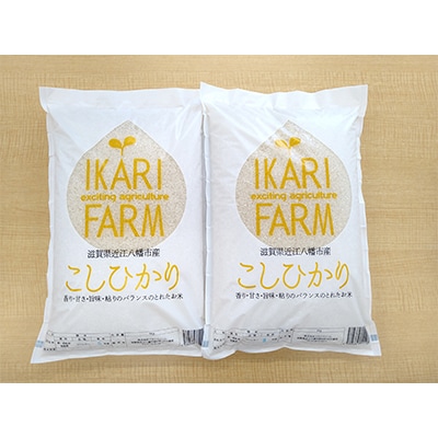 【令和7年産】お米の代表格「コシヒカリ」白米10kg(5kg×2袋)【滋賀県近江八幡市:近江米】